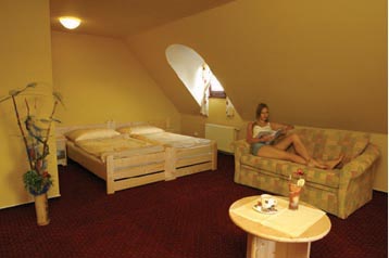 Čehija Hotel Jindřichův Hradec, Eksterjers